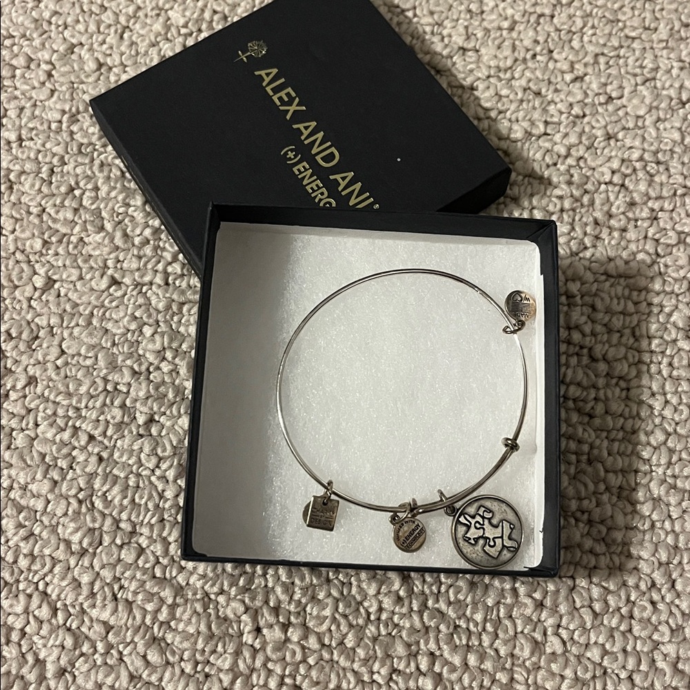 Alex and Ani Bangle with Charms